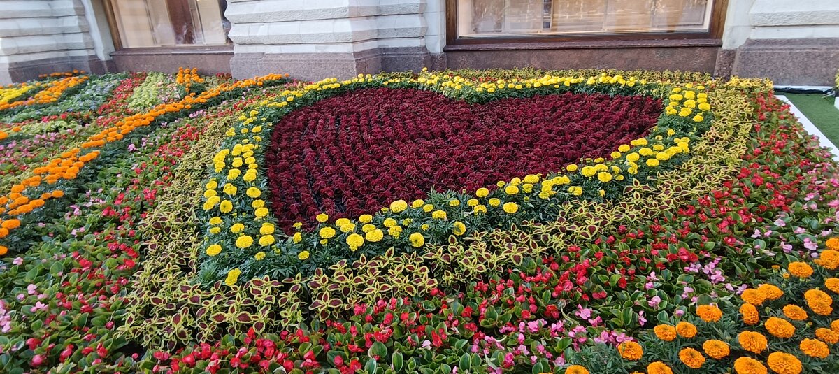 цветочное сердце - Галина R...