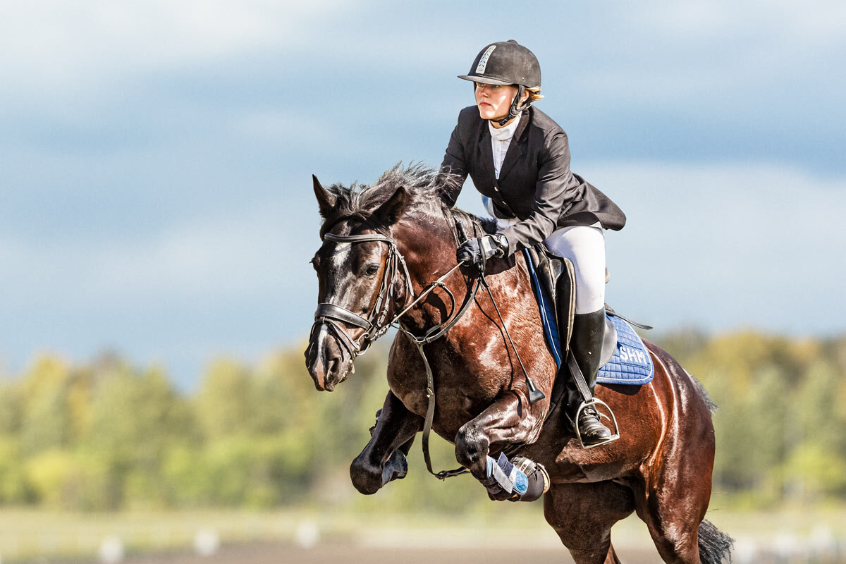 Конкур - SanSan 