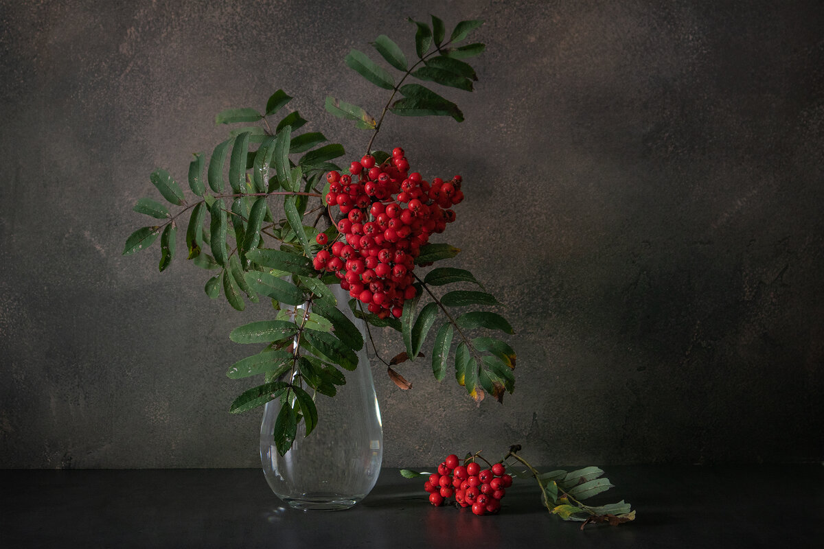 Рябина - Serge Riazanov