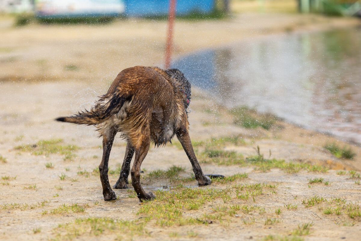 * - k-e-r-g-u-d-u DM