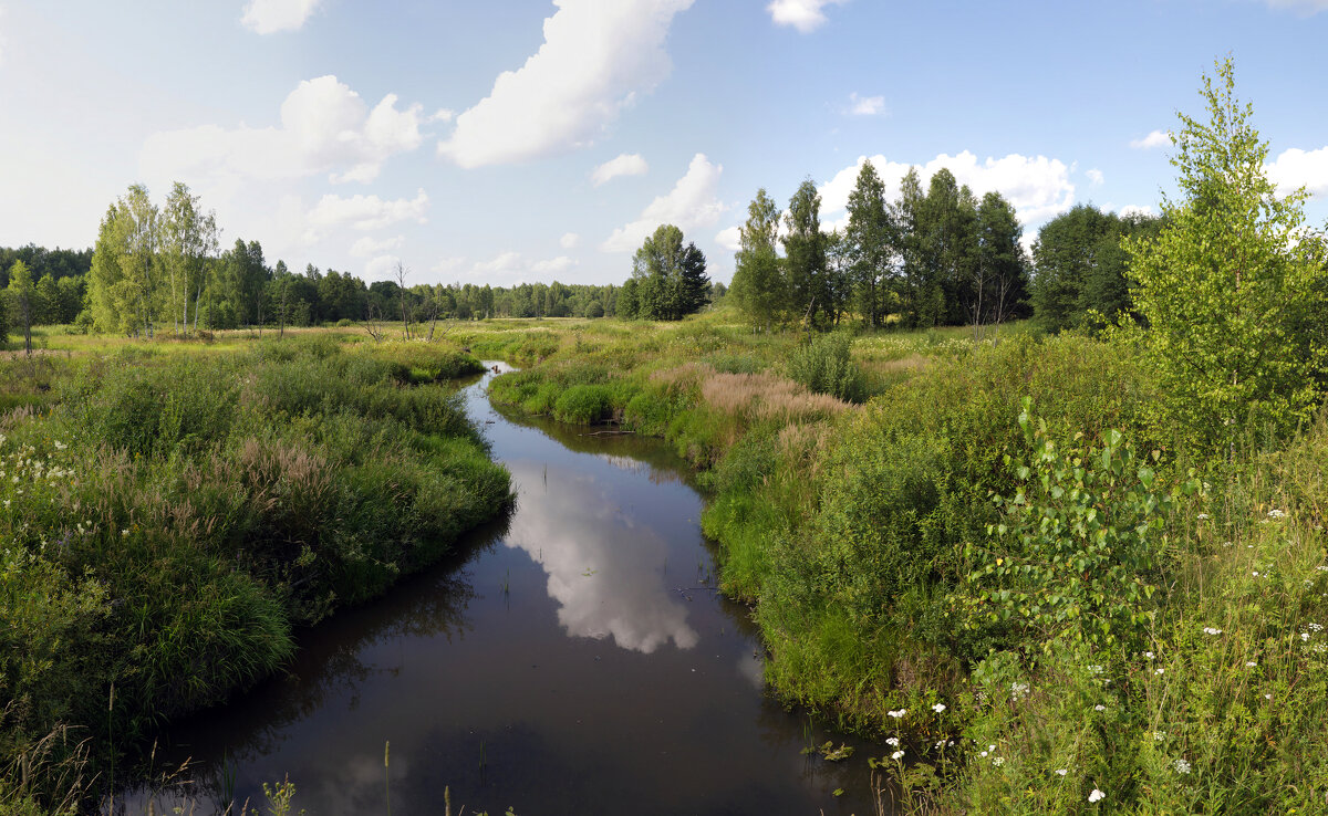 Лесными дорогами - Oleg S