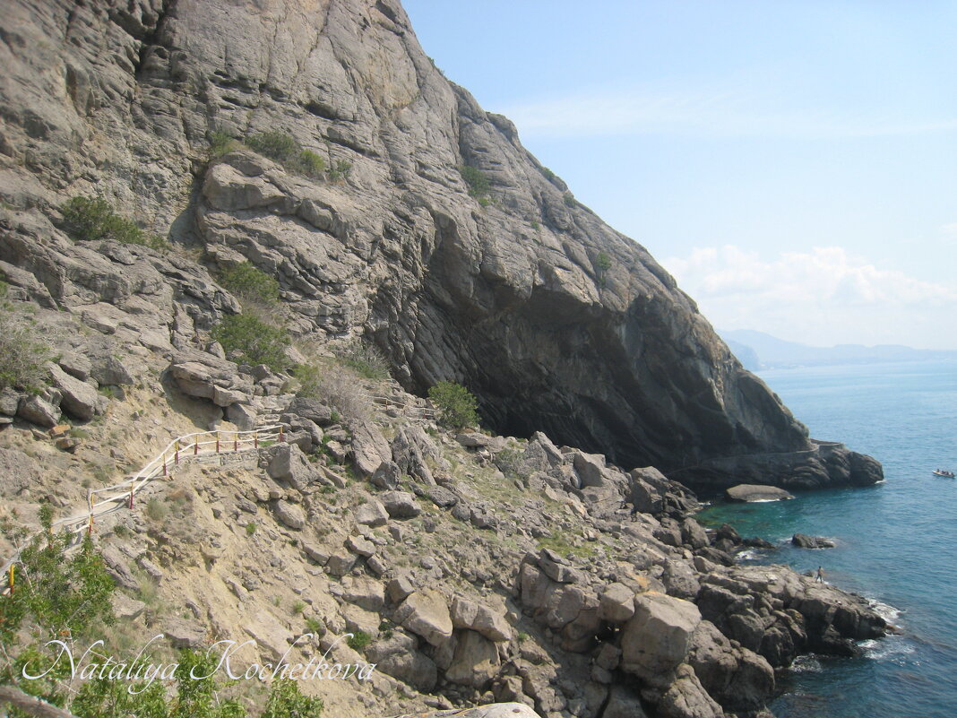 Природа Крыма - Amazing Cosmea