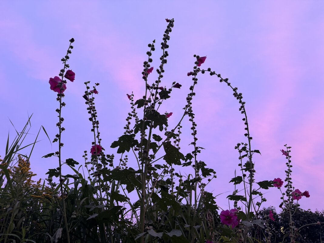 По красивым местам - Анна Камс