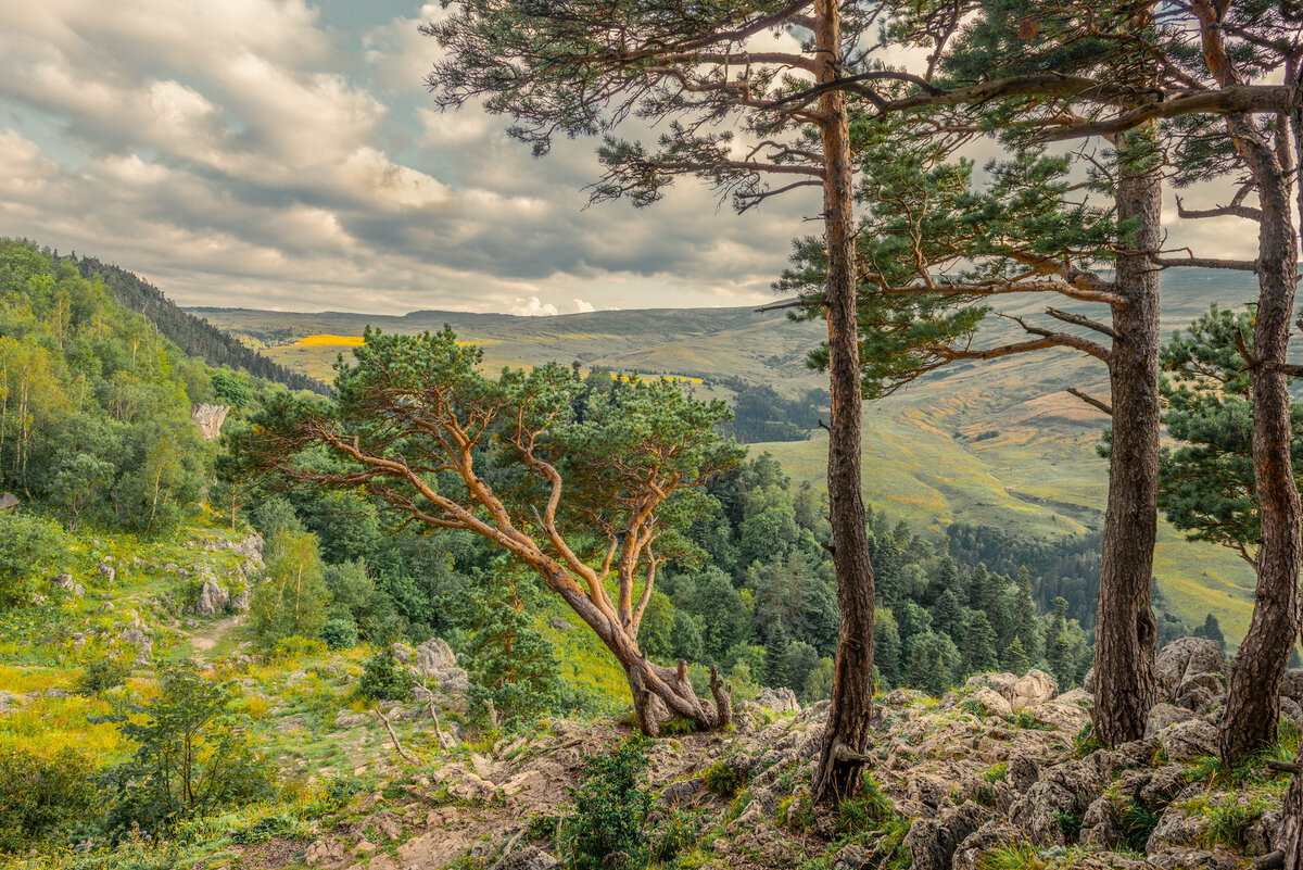 *** - Аnatoly Gaponenko