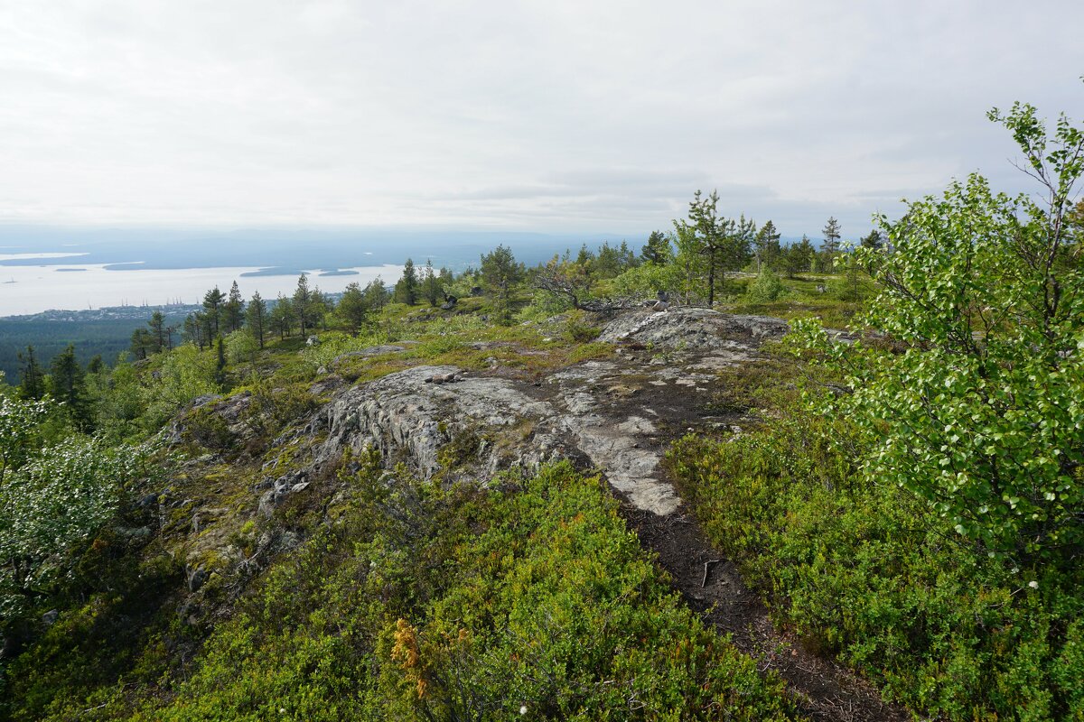 Тернистая дорога на сопку - Ольга Чистякова