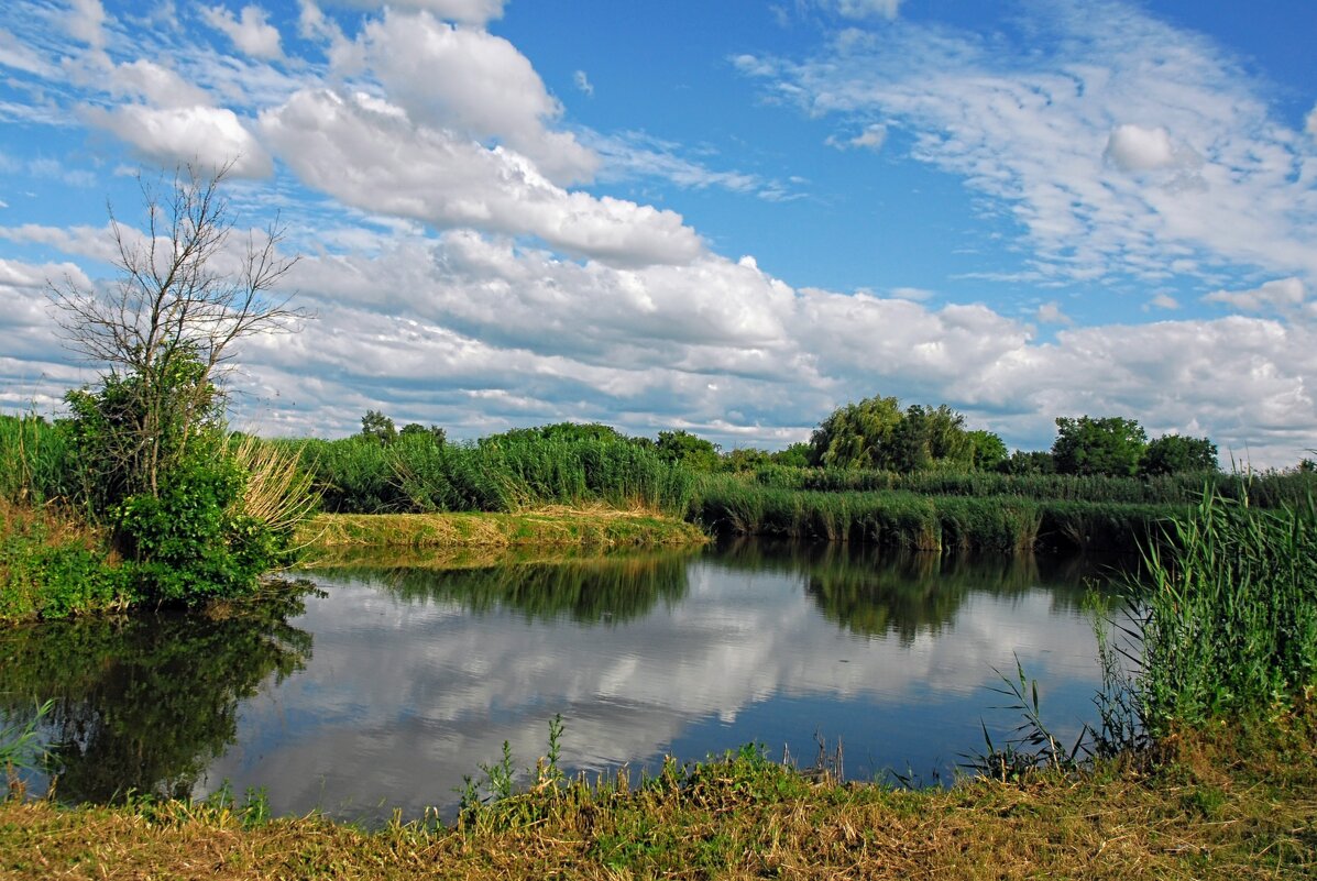 Август - Владимир 
