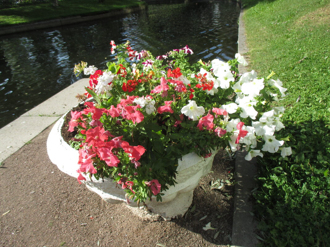 Август в Юсуповском саду - Маера Урусова Август в Юсуповском саду - Маера Урусова