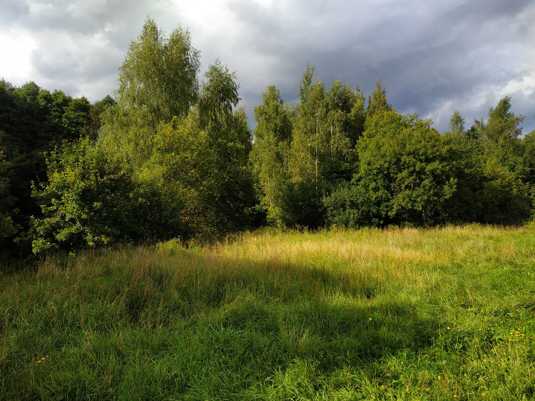 * * * - Андрей Лукьянов * * * - Андрей Лукьянов