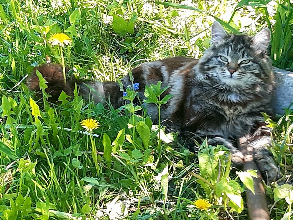 Хорошо поработал,теперь можно и отдохнуть! - Нина Андронова