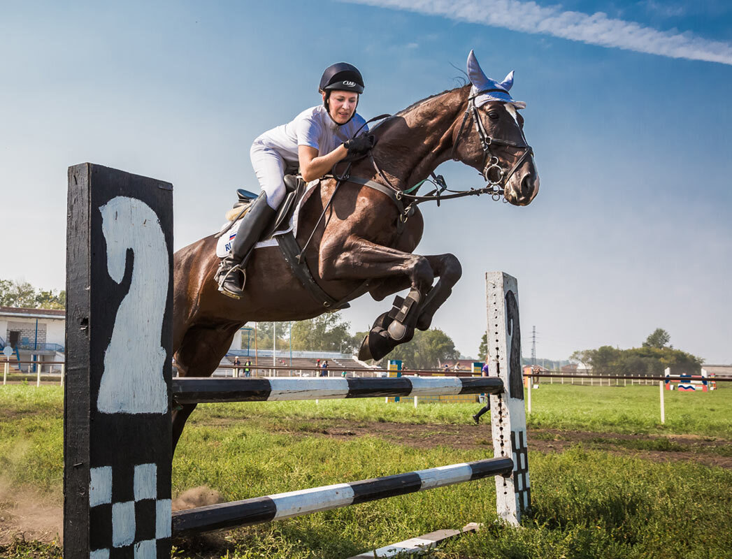 Конкур - SanSan 