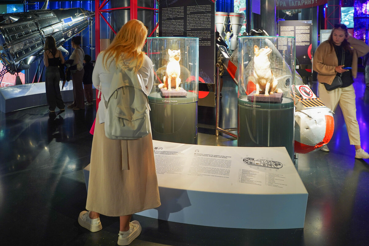 МУЗЕЙ_КОСМОНАВТИКИ_14_08_25 (132) - Сергей Янович Микк