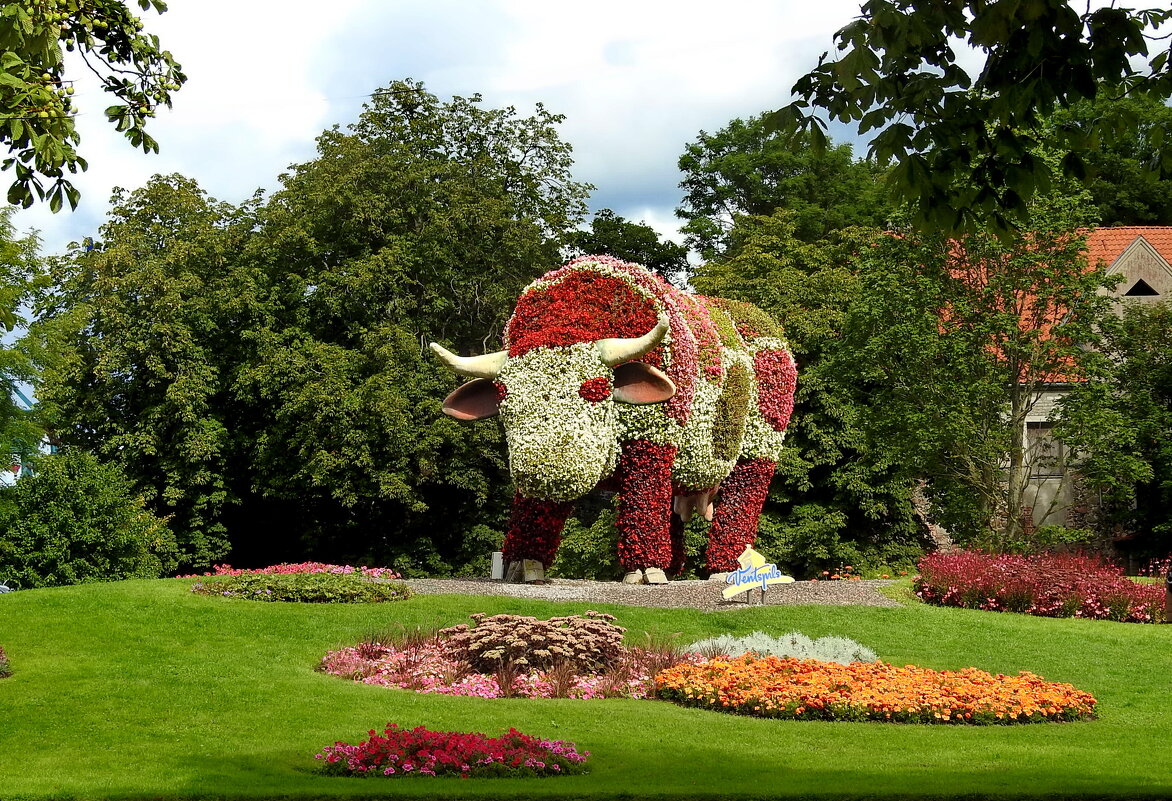 ****** - ИННА ПОРОХОВА