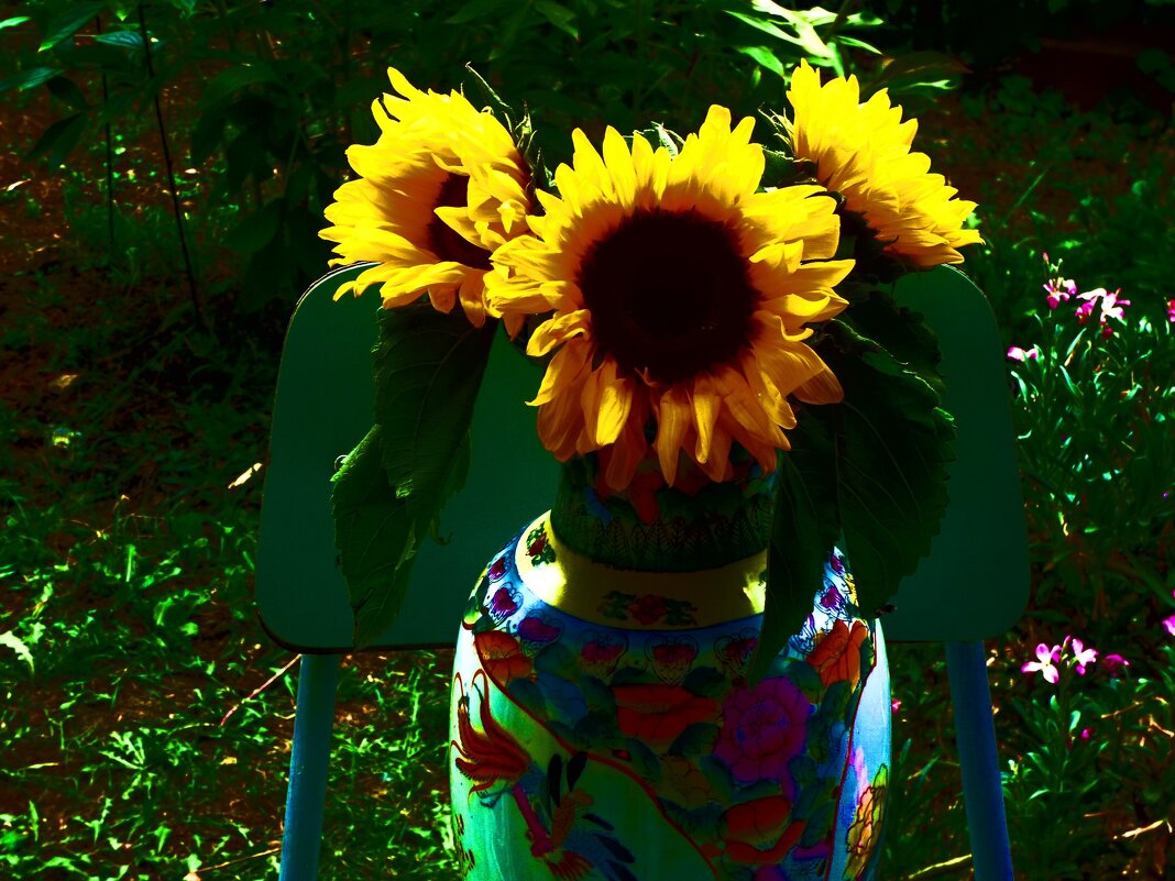 АВГУСТОВСКИЕ БУКЕТЫ -1 - Елена Куприянова 