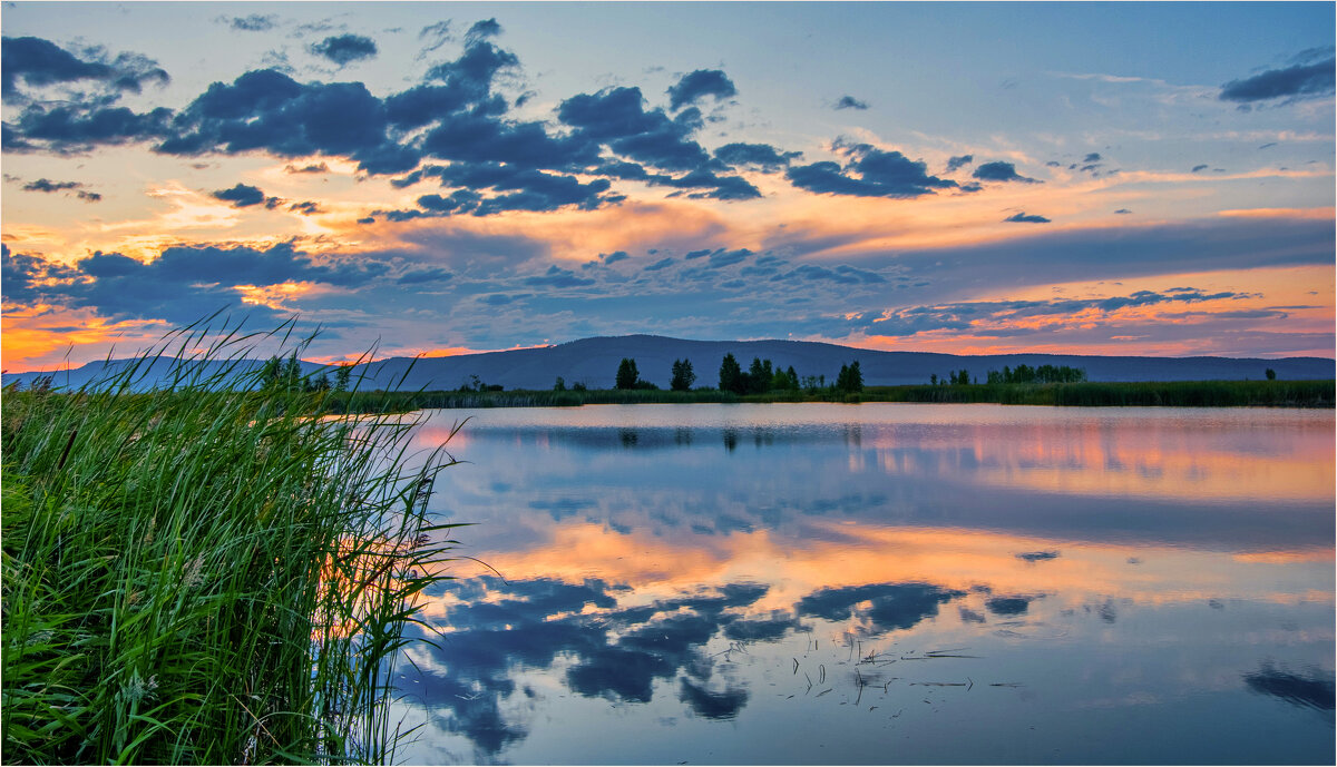 **** - Алексей Мезенцев