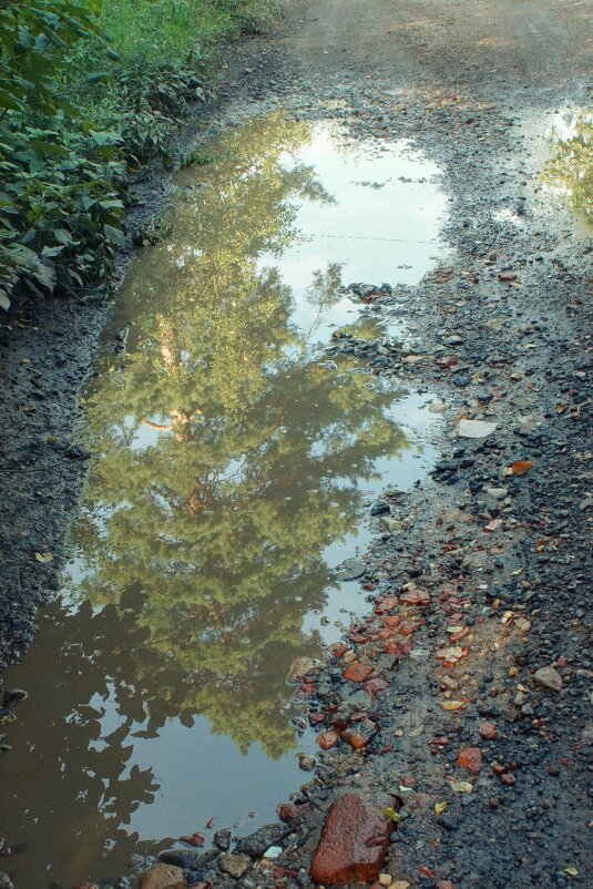 *** - Леонид leo