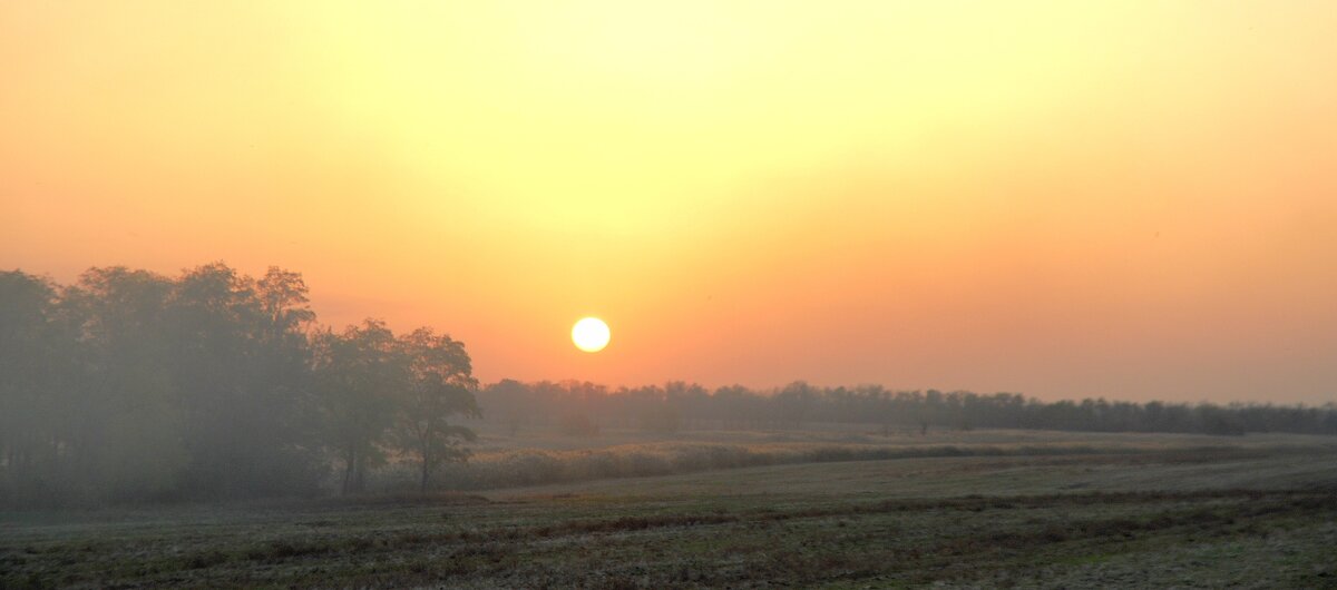 Вечер. - Владимир 