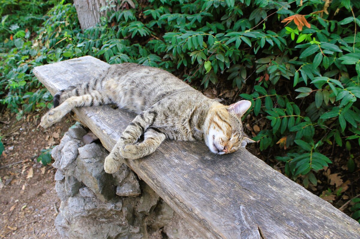 Временно недоступен - Хватова Марина 