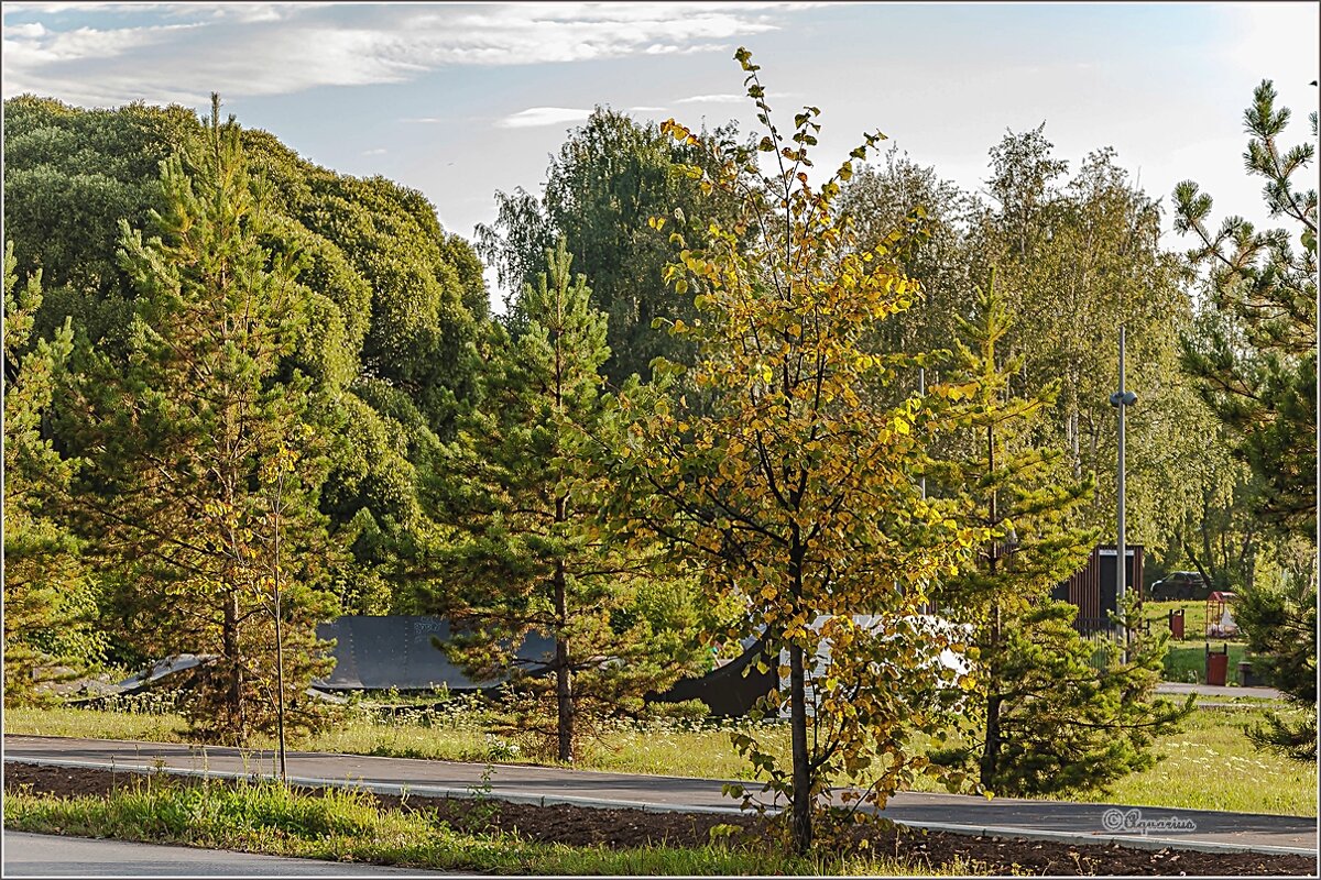 Накануне осени - Aquarius - Сергей