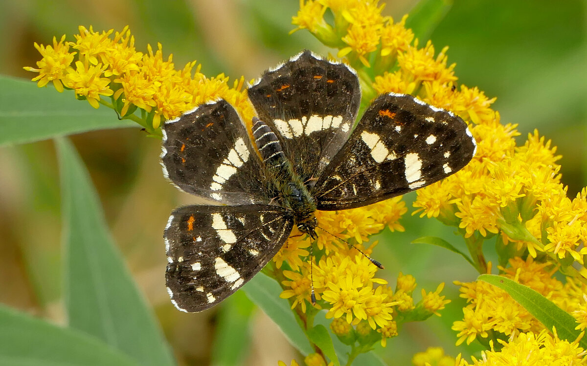 из снятого позапозавчера 4 - Александр Прокудин из снятого позапозавчера 4 - Александр Прокудин