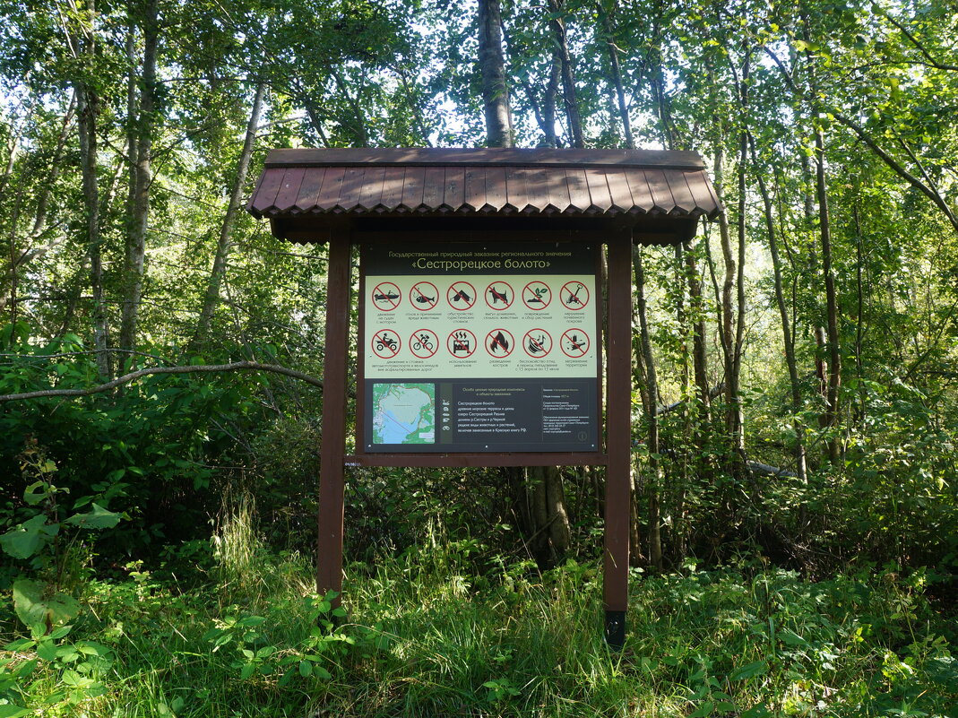 "Туда - низя, сюда - низя, никуда низя..." - zavitok *