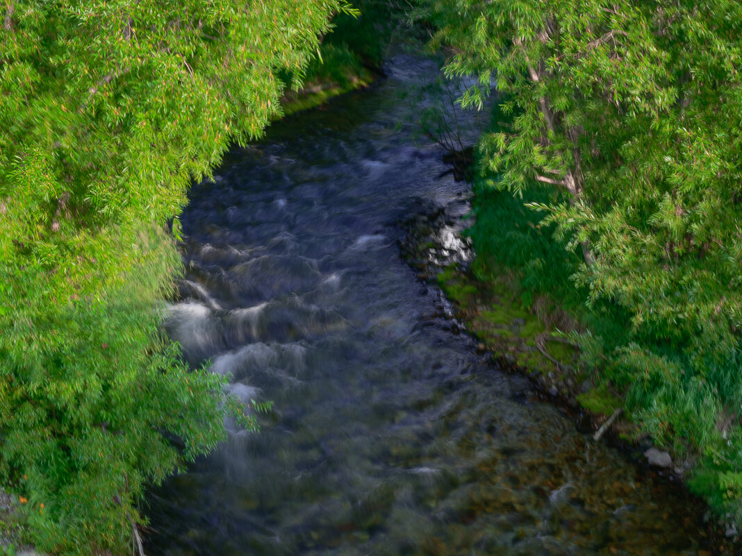 ... - Жора Житников ... - Жора Житников