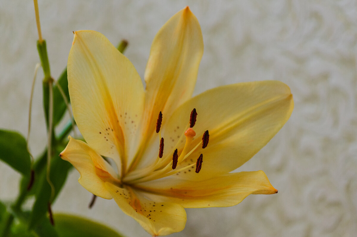 *** - Виктор Иванович Чернюк *** - Виктор Иванович Чернюк