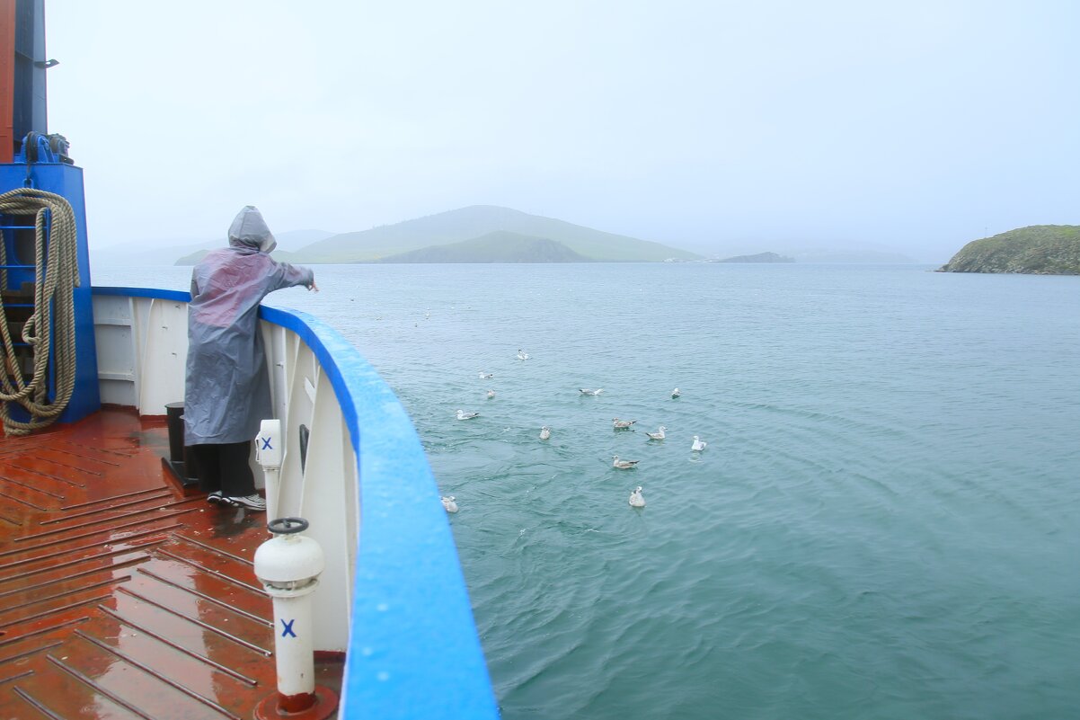 Кормление чаек на озере Байкал - Танзиля Завьялова Кормление чаек на озере Байкал - Танзиля Завьялова