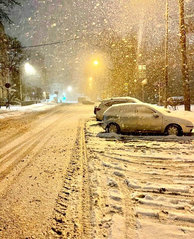 Зима - Любимова Ольга 