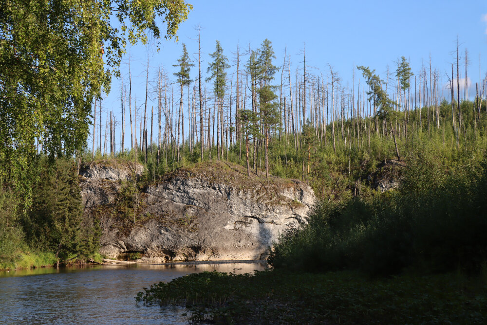 Берега Северной Тошемки - Галина Ильясова