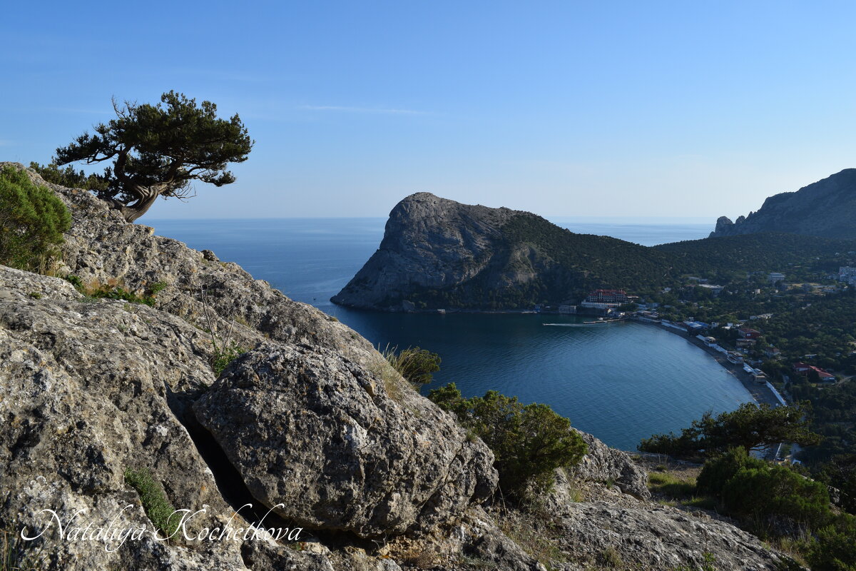 Природа Крыма - Amazing Cosmea