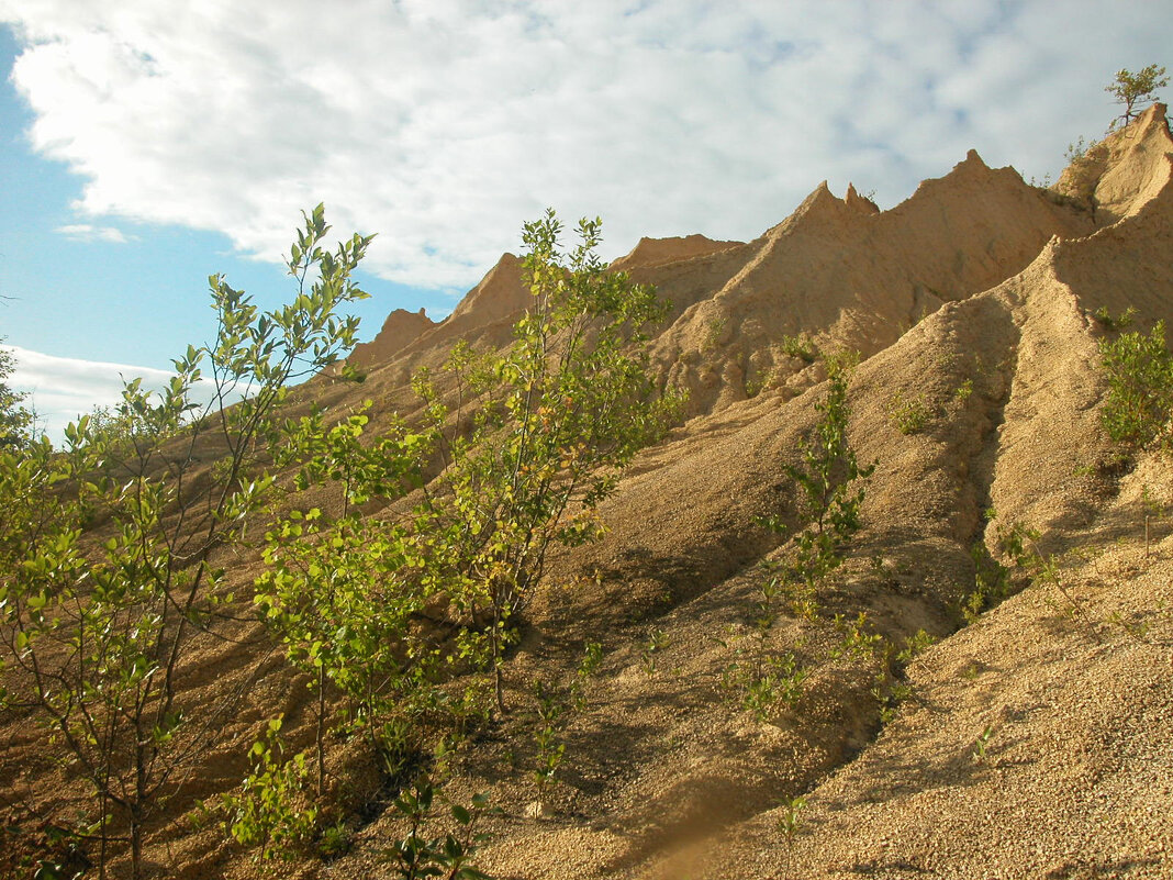 ? - Наталья Лунева 