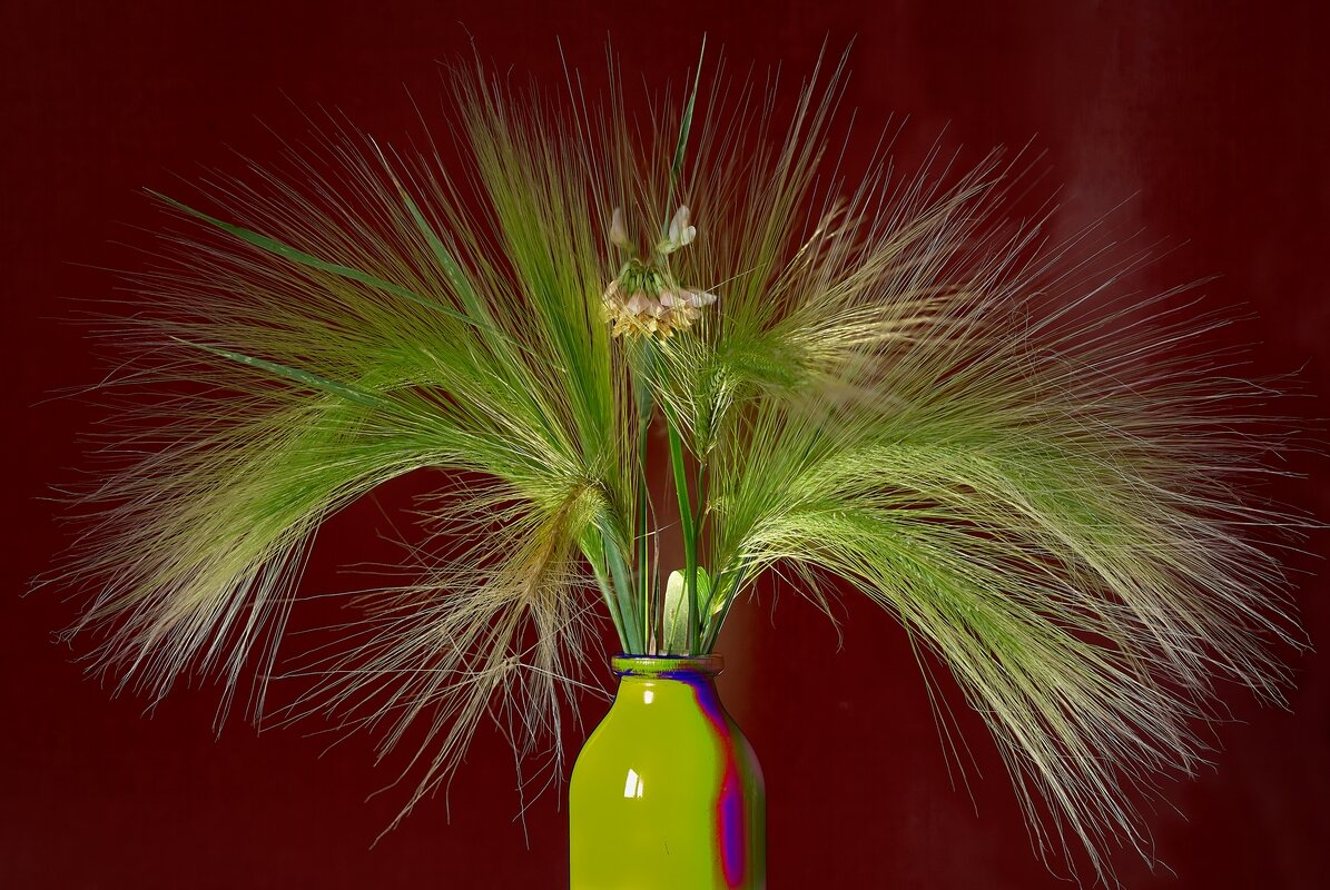 *** - Владимир 