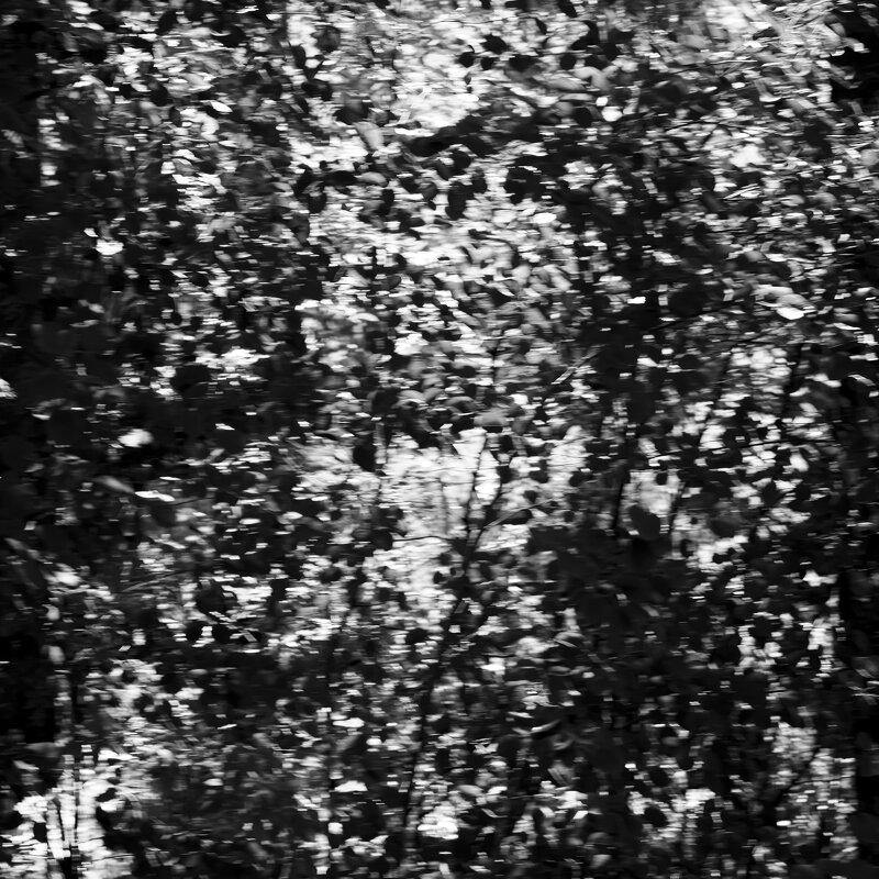 Назва. отсу. - Денис Безногов