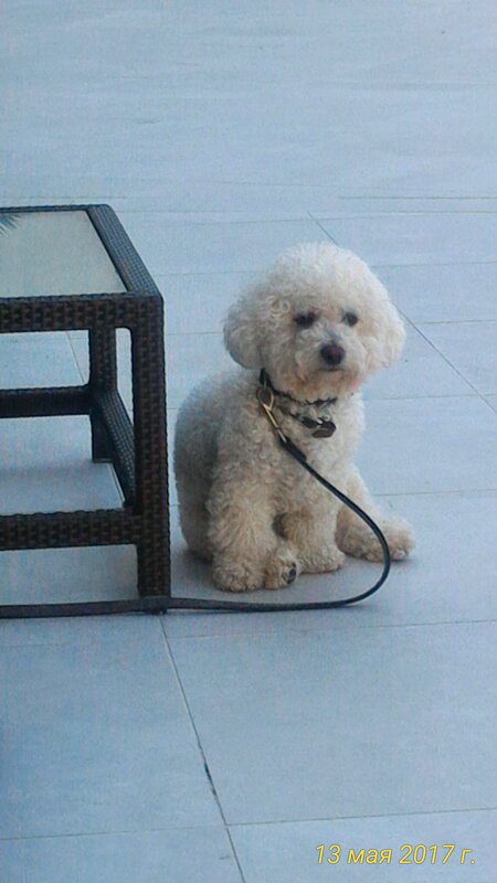 Одиночество - Натали 