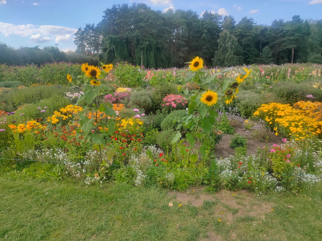 В Ботаническом саду - Ирэн 