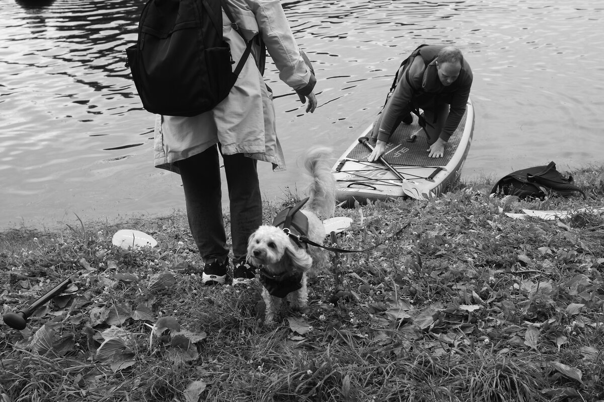 .... - Юрий Самсонов