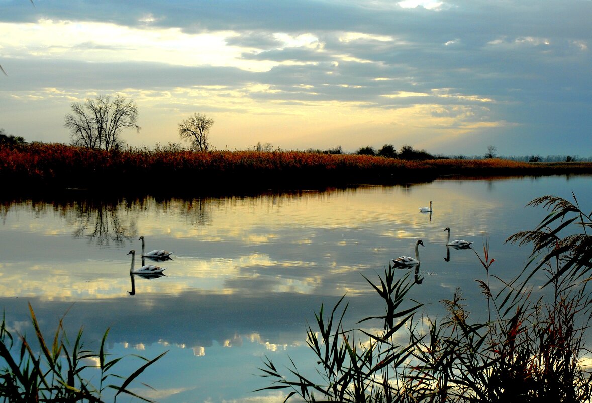 Утро. - Владимир 