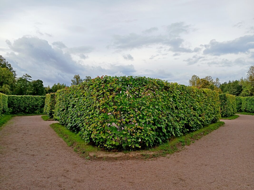 Лабиринт. - Лия ☼ Лабиринт. - Лия ☼