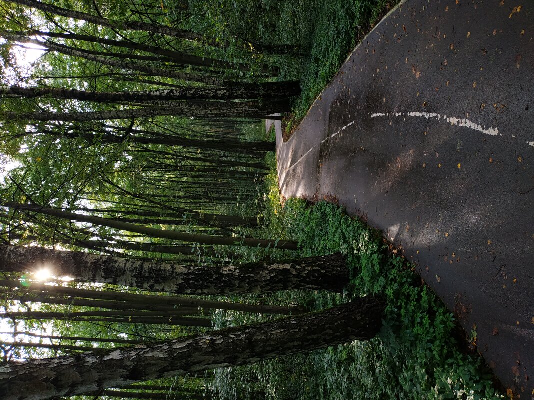 Лета совсем на донышке - Андрей Лукьянов
