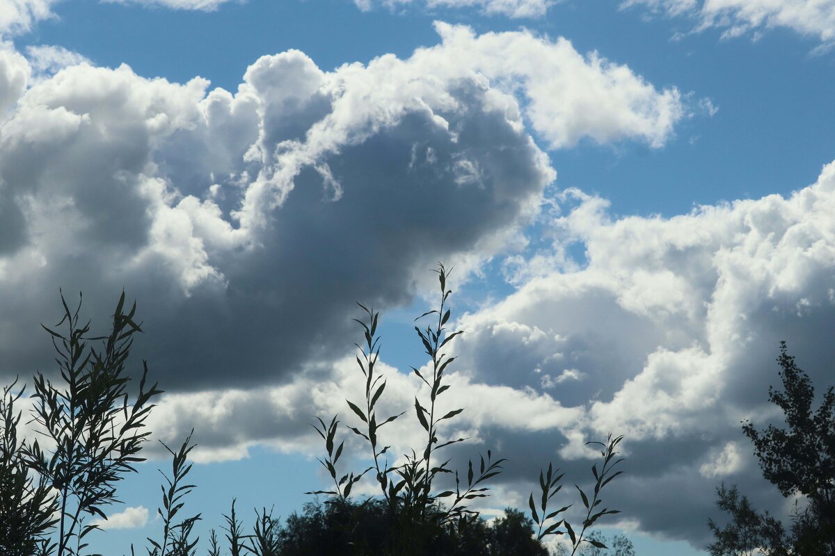 Июль...Клубятся над рекой облака! - Владимир Июль...Клубятся над рекой облака! - Владимир