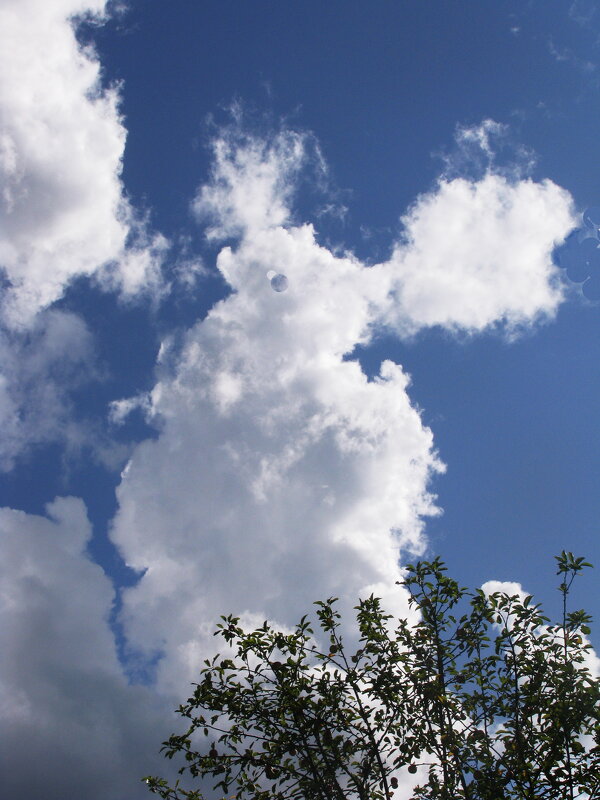 В полёте - Людмила Смородинская В полёте - Людмила Смородинская