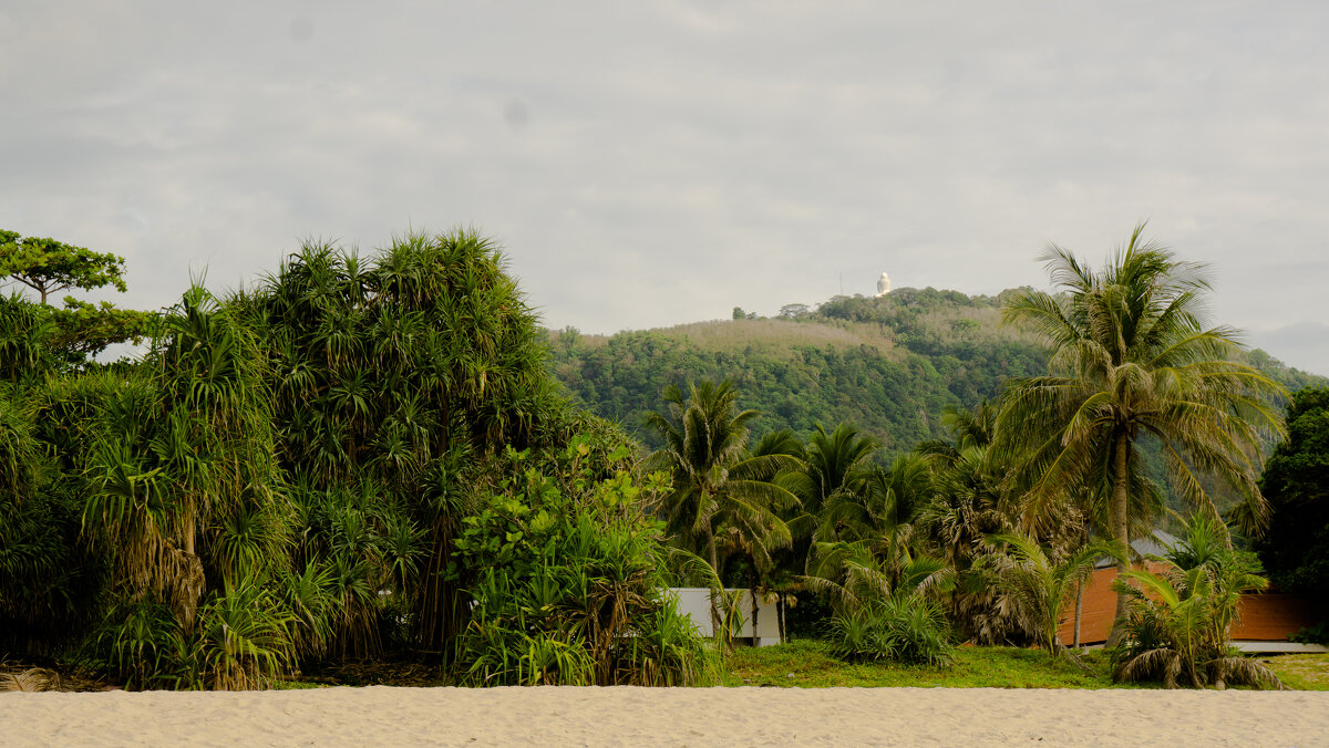 Пхукет - Андрей 