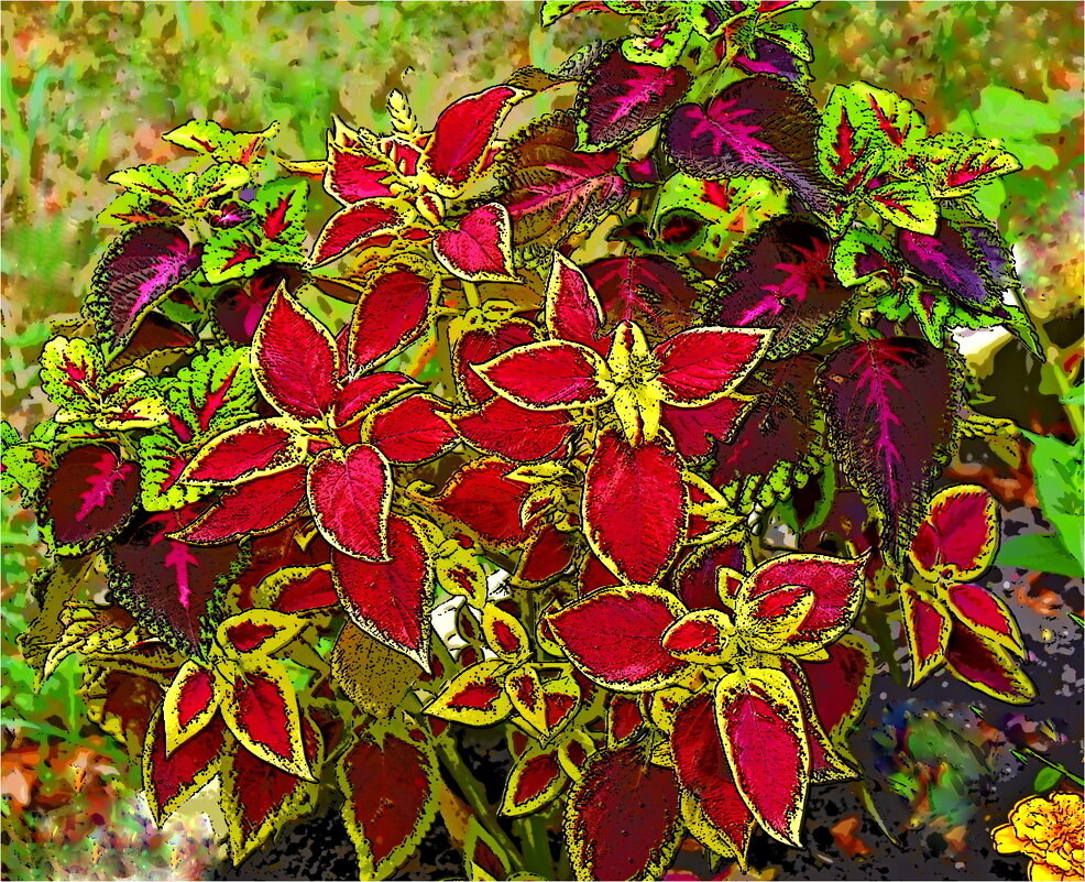 КЛУМБА - Юрий Владимирович 34