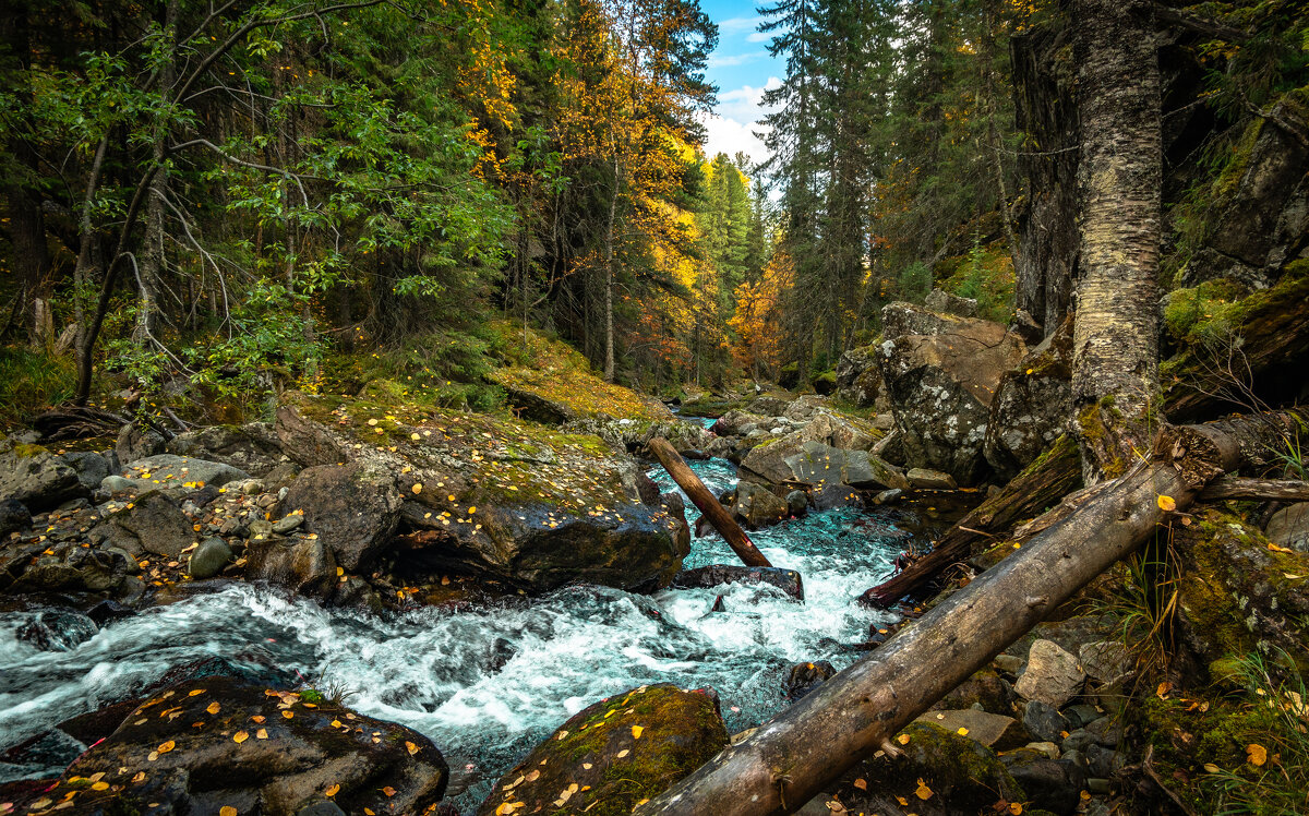 Река в горах. - Владимир 