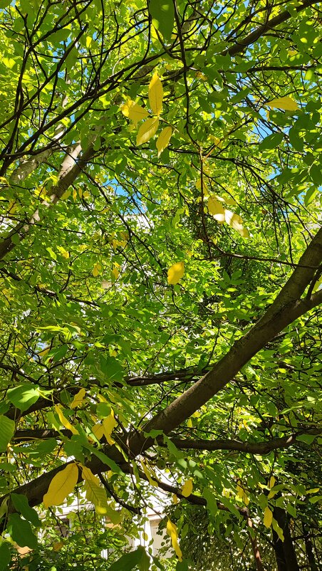 ,,, - Сергей Тимоновский