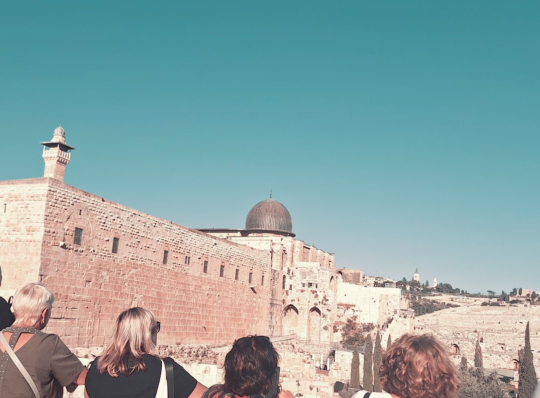 13  ОПЕН (261) - OPEN WAYS ALL