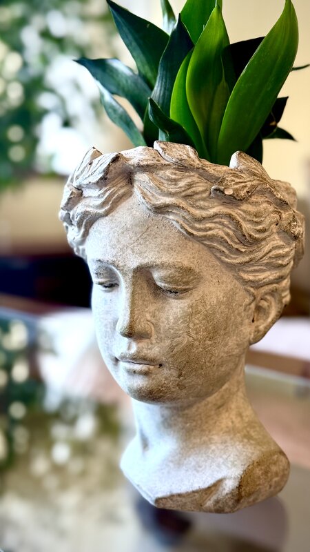 « Экостиль» - Арина Невская