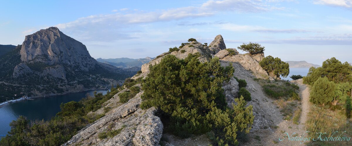 Природа Крыма - Amazing Cosmea