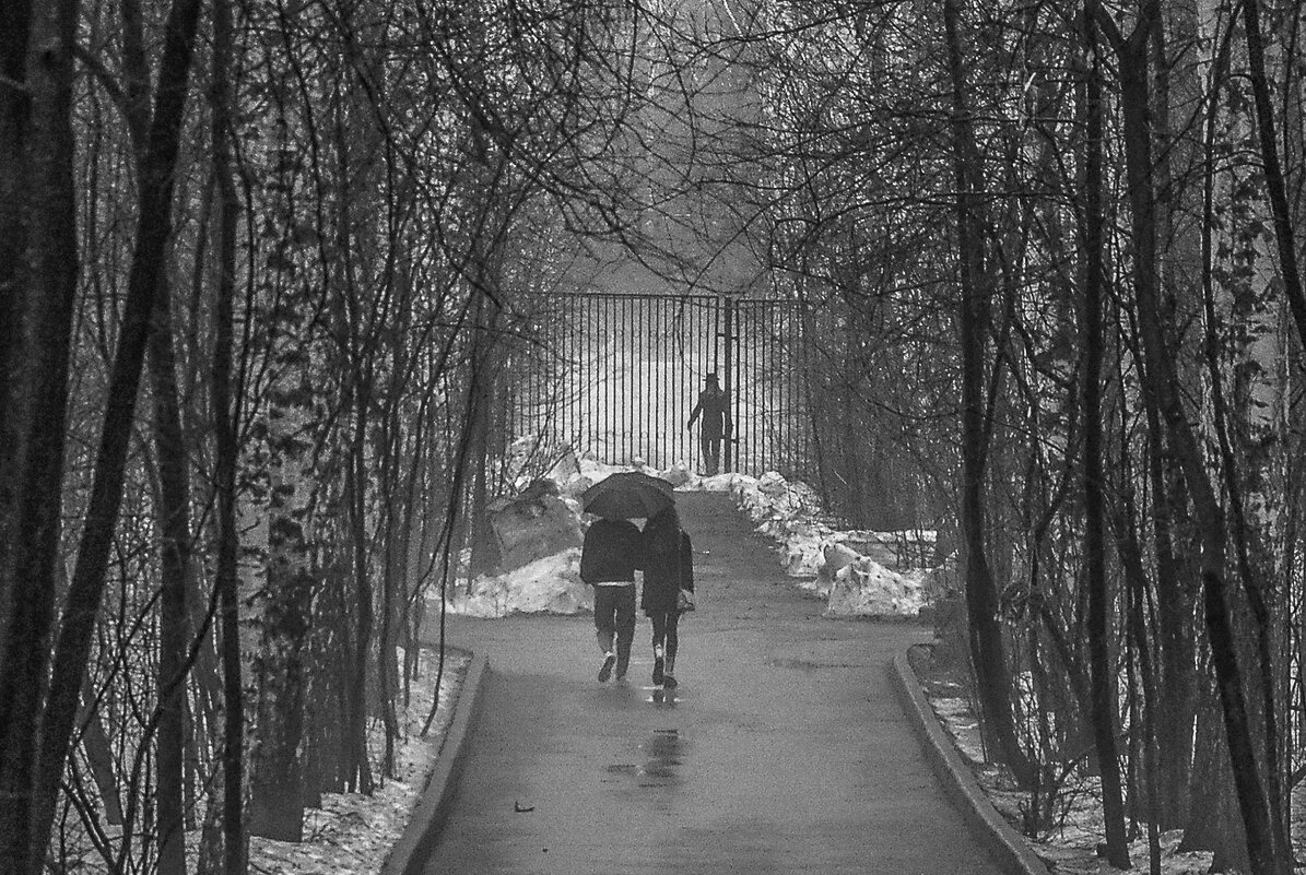 Дождь - Михаил Измайлов