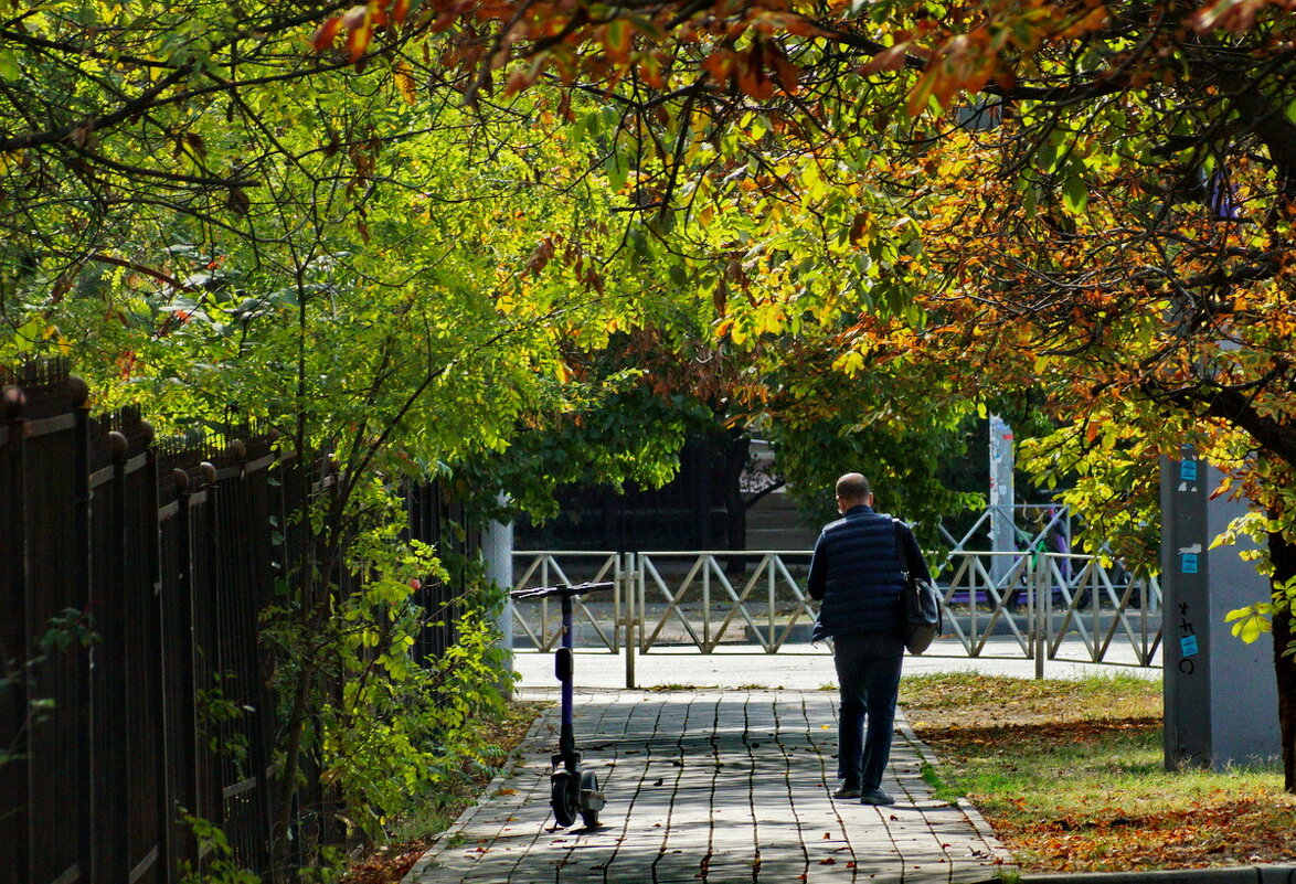 Дыхание Осени золотой... - Николай Саржанов
